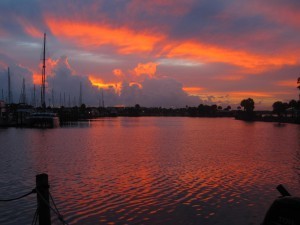 IMG_2969