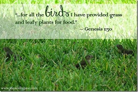 Genesis1_30