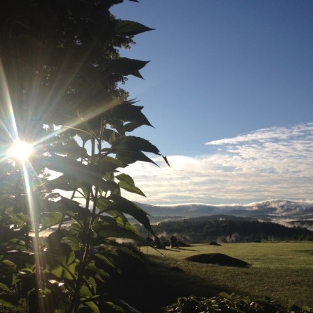 Sept dawn