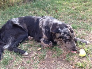 At your service, ma'am