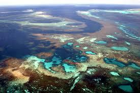 Abrolhos Island