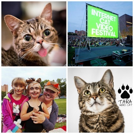 LA_Feline_Film_Festival