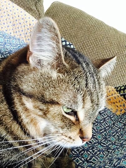 I've been spending a lot of blanket time with Mother. 