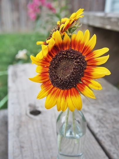Sunflowers for Tina