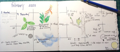 Feb. 2010, complete with what i noticed around the yard.