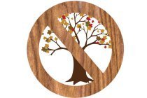no trees