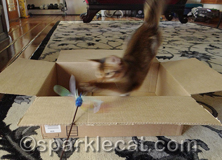 I can practice my flying moves!