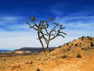 Photobucket Pictures, Images and Photos