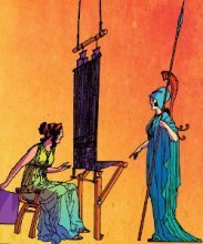 arachne300
