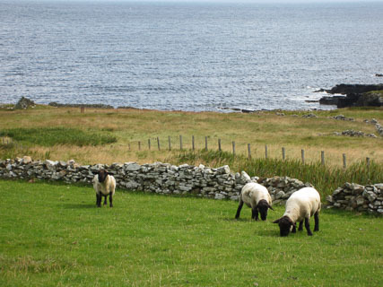 02-CroftHouseMuseum-20140822-IMG_9549