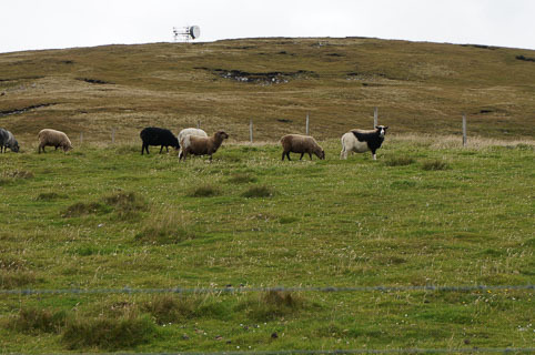 14-20140824-DSC02447