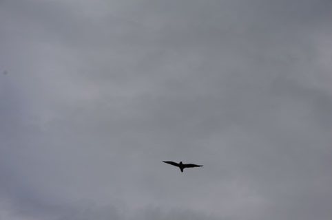 17-20140824-DSC02487