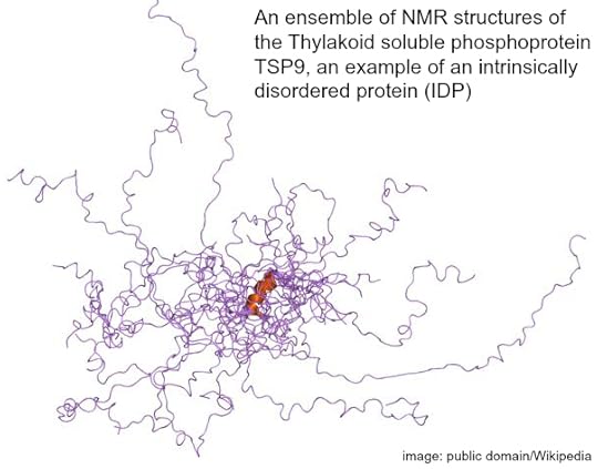 IDP for Jonathan Wells 9.9.14 Post - Public Domain Wiki Edited with Description.jpg