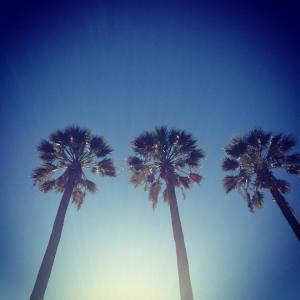 10590525_10152706753053216_539827095825730017_n