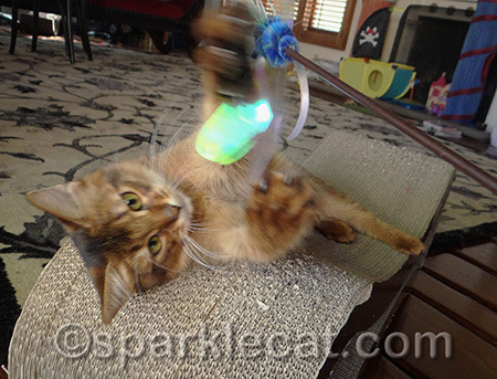It's getting away! Must... catch...