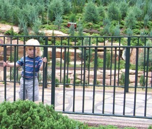 Train at Epcot - Natalie Reinert