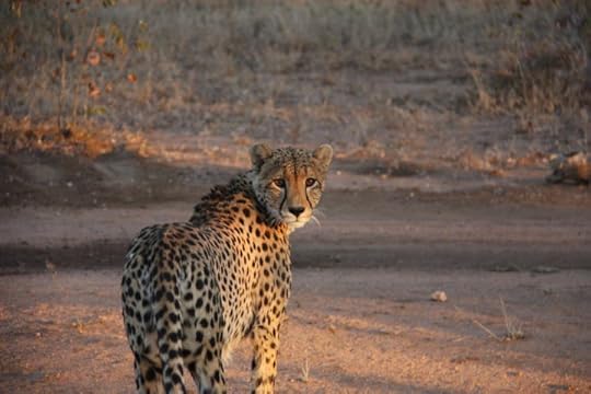 34071_10150204626325627_4990025_n