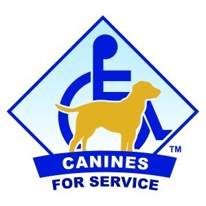 CFS logo