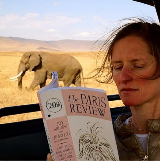elephant