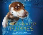 underwater puppies dogs seth casteel