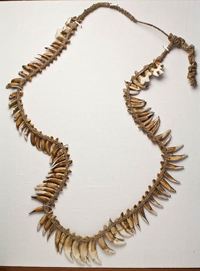 Dog tooth necklace from Asmat Tribe, Irian Jaya, Western New Guinea