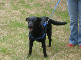 815-Buddy photo2