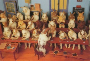 Rabbit School