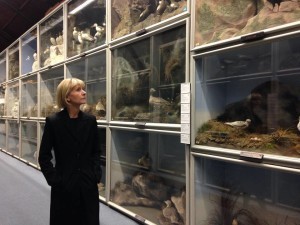 Kate at Booth Museum of Natural History