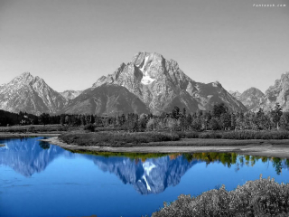 Photobucket Pictures, Images and Photos