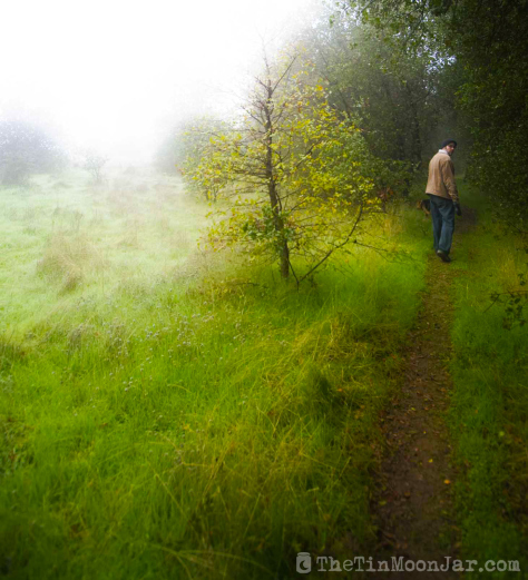 Fog and man on a spooky trail