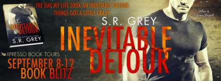 InevitableDetourBlitzBanner