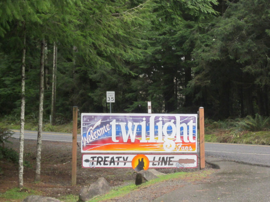 Camping by the ocean