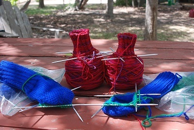 unfinished_royal-and-Indian-paintbrush