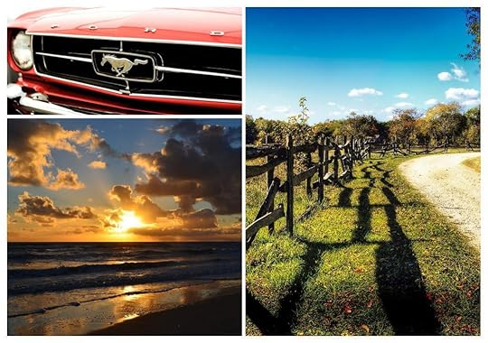  photo bb2_zpsa9ad9d24.jpg