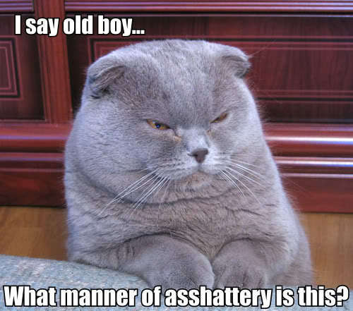  photo Catasshattery.jpg