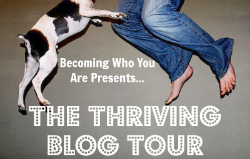 Blog Tour Sidebar
