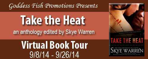 VBT_TakeTheHeat_Banner