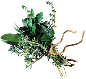 medieval medicinal herbs