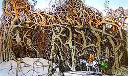 SleepingBeautyGrimmJuliusDiez