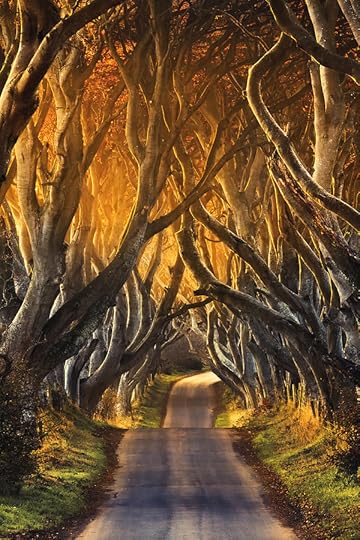 Dark Hedges, County Antrim, Northern Ireland