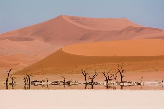 Dead Vlei trees