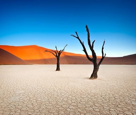 Dead Vlei trees