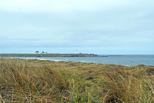 Manchester Beach, with Point Arena Lighthouse in the distance