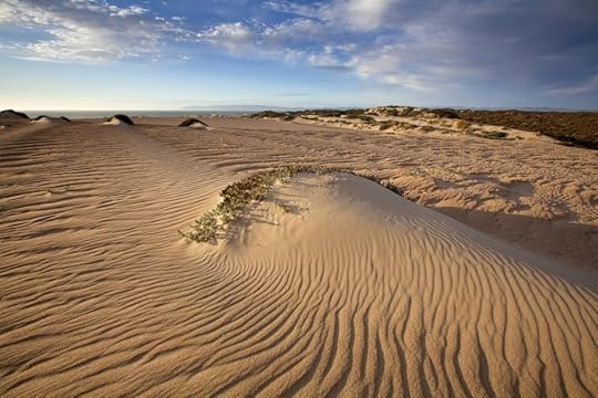 Guadalupe-Nipomo Dunes