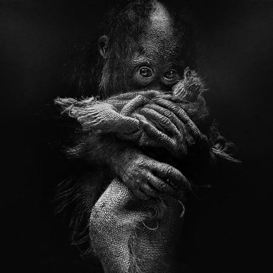 Lee Jeffries