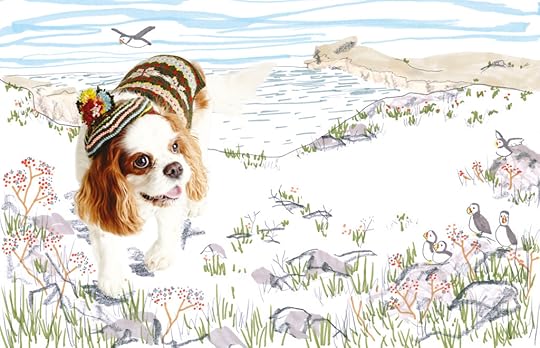 WOOLY WOOFERS AW Fairisle Edit flat