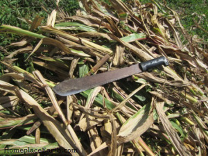 Cornstalks and Machete