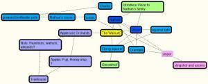 Walnuts mindmap