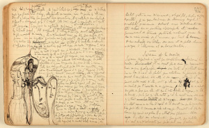 Proust's notebook