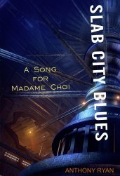 SLB2 cover
